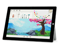 双湖Surface 无法开启、Windows 无法启动或电池无法充电