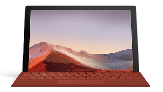 双湖清洁和维护 Surface